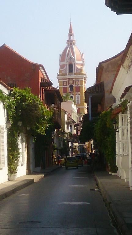 Delfines Del Caribe * Cartagena