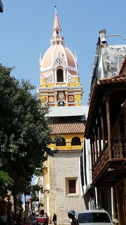 Delfines Del Caribe Cartagena